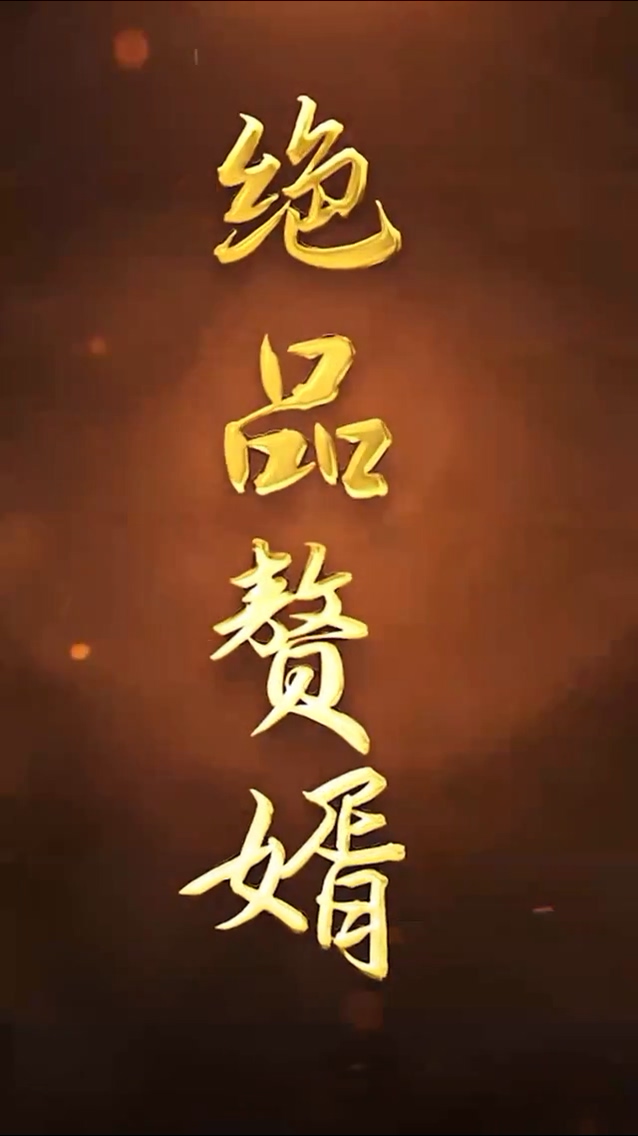 绝品赘婿 第28集